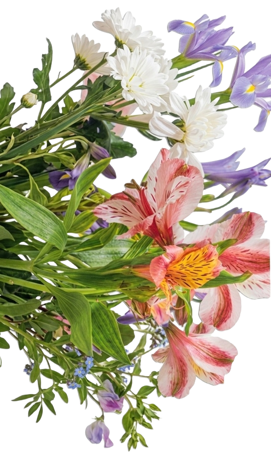 Servicios florales